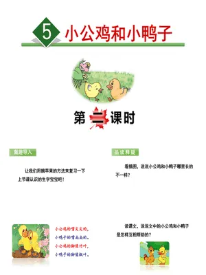 小公鸡和小鸭子PPT课件5