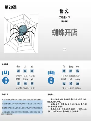 蜘蛛开店PPT课件3