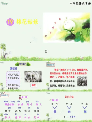 棉花姑娘PPT课件8
