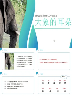 大象的耳朵PPT课件3