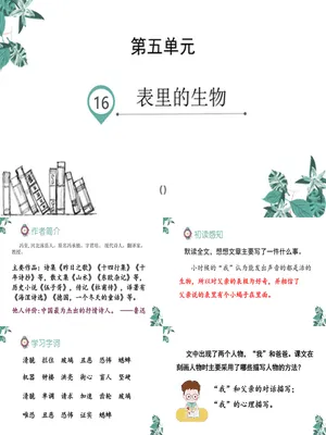 表里的生物PPT课件8