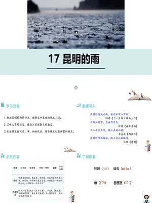 昆明的雨PPT课件8