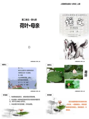 荷花母亲PPT课件2