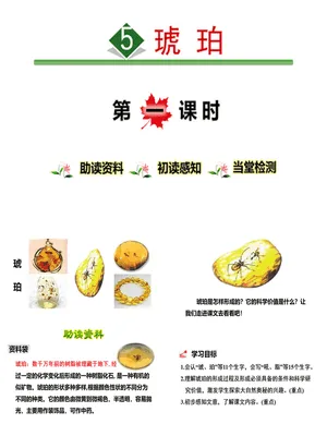 琥珀PPT课件8