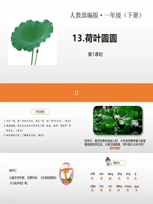 荷叶圆圆PPT课件8