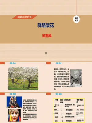 驿路梨花PPT课件5