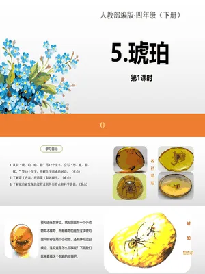 琥珀PPT课件6