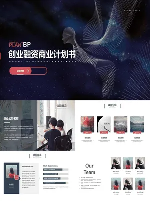 科技风创业融资计划书