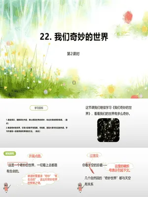 我们奇妙的世界PPT课件5