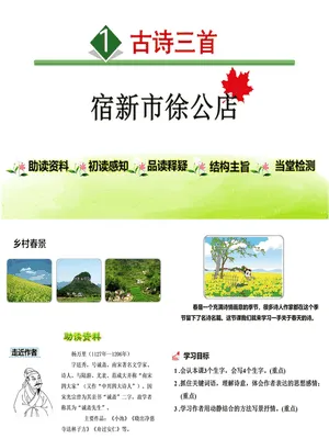 宿新市徐公店PPT课件2