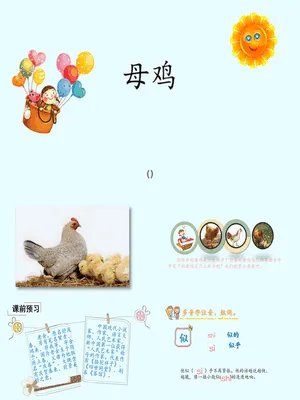 母鸡PPT课件6