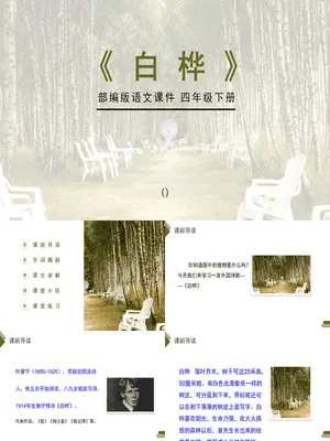 白桦PPT课件2