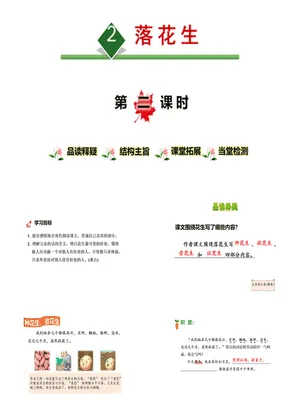 落花生PPT课件8