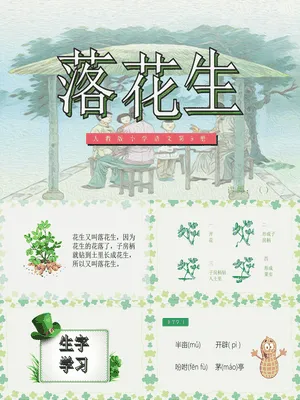 落花生PPT课件2