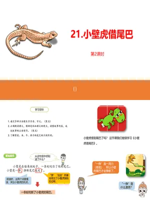 小壁虎借尾巴PPT课件3