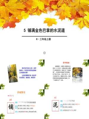 铺满金色巴掌的水泥道PPT课件7