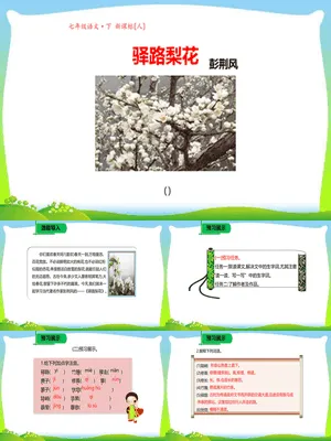 驿路梨花PPT课件3