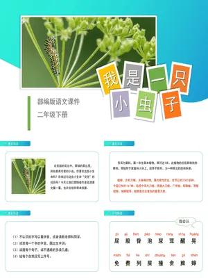 我是一只小虫子PPT课件2