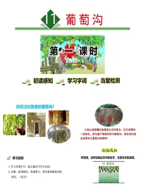 葡萄沟PPT课件2