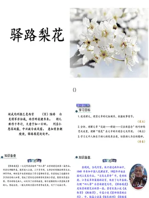 驿路梨花PPT课件8