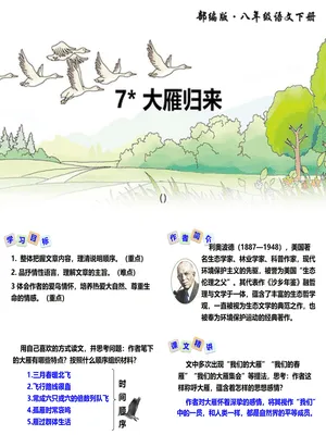 大雁归来PPT课件4