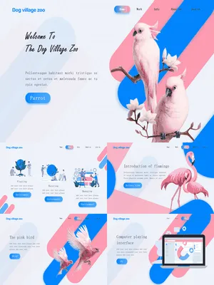 创意时尚粉蓝鹦鹉