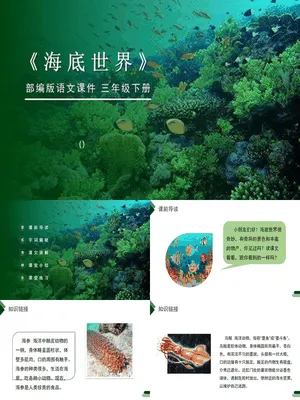 海底世界PPT课件5