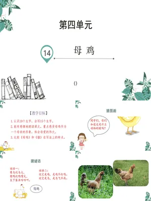 母鸡PPT课件2