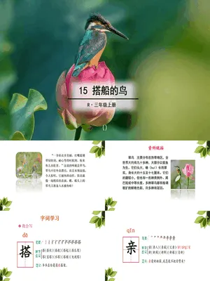 搭船的鸟PPT课件6