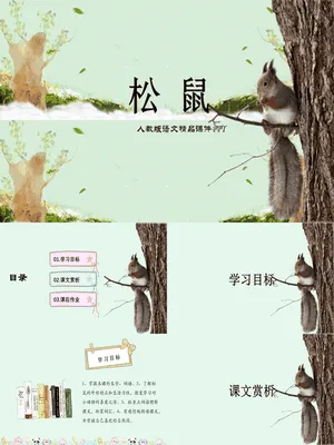 松鼠PPT课件10