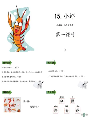 小虾PPT课件3