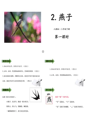 燕子PPT课件5