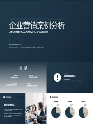 极简营销策划案例分析