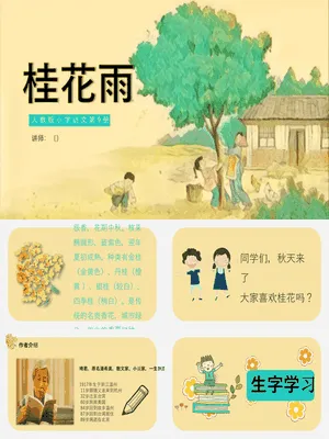 桂花雨PPT课件4