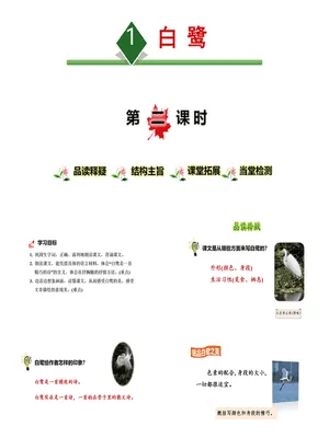 白鹭PPT课件6