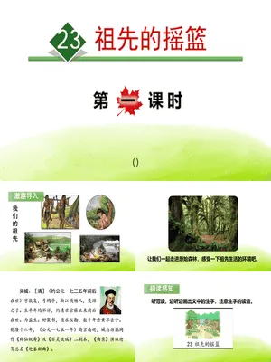 祖先的摇篮PPT课件8
