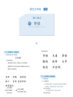 枣核PPT课件1