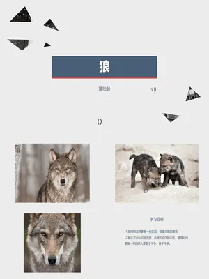 狼PPT课件1