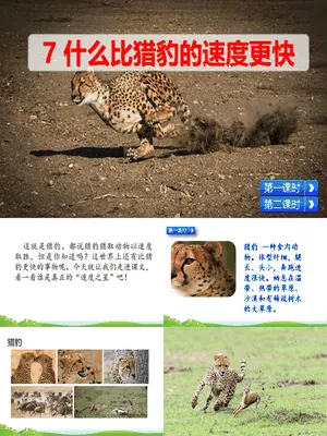 什么比猎豹的速度更快PPT课件7
