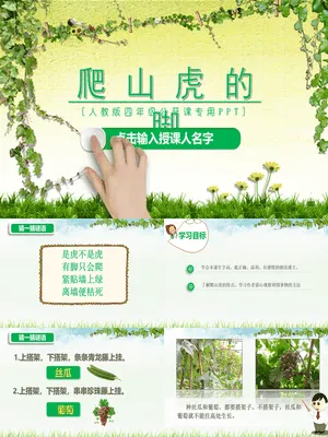 爬山虎的脚PPT课件3