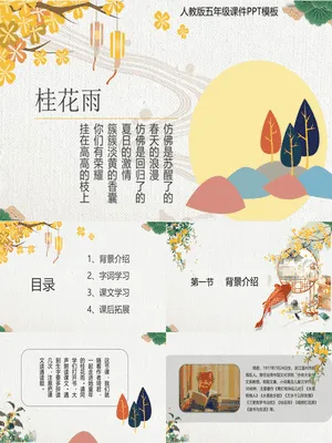 桂花雨PPT课件5
