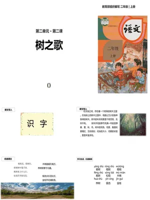 树之歌PPT课件1