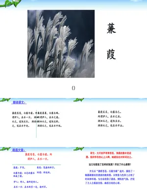 蒹葭PPT课件6