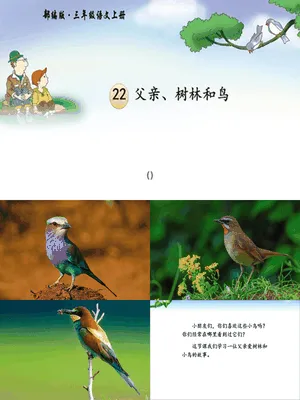 父亲树林和鸟PPT课件6
