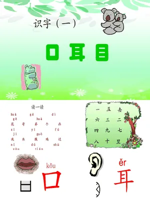 耳口目PPT课件1