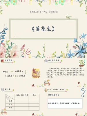落花生PPT课件4
