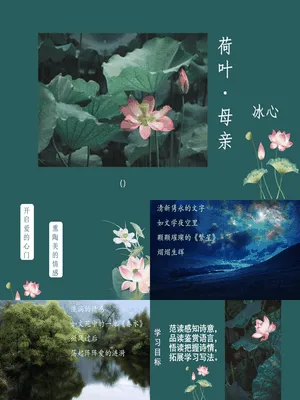 荷花母亲PPT课件4