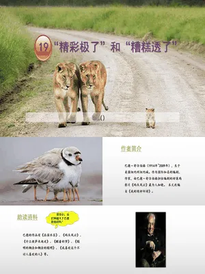 精彩极了和糟糕透了PPT课件4