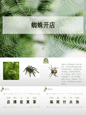 蜘蛛开店PPT课件1