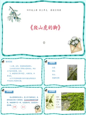 爬山虎的脚PPT课件7
